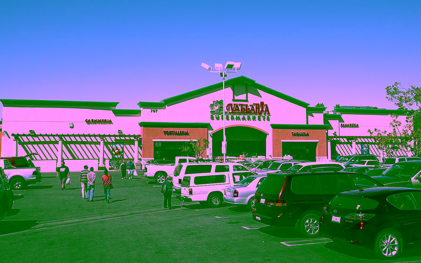 LAURIN-VALLARTA-2015