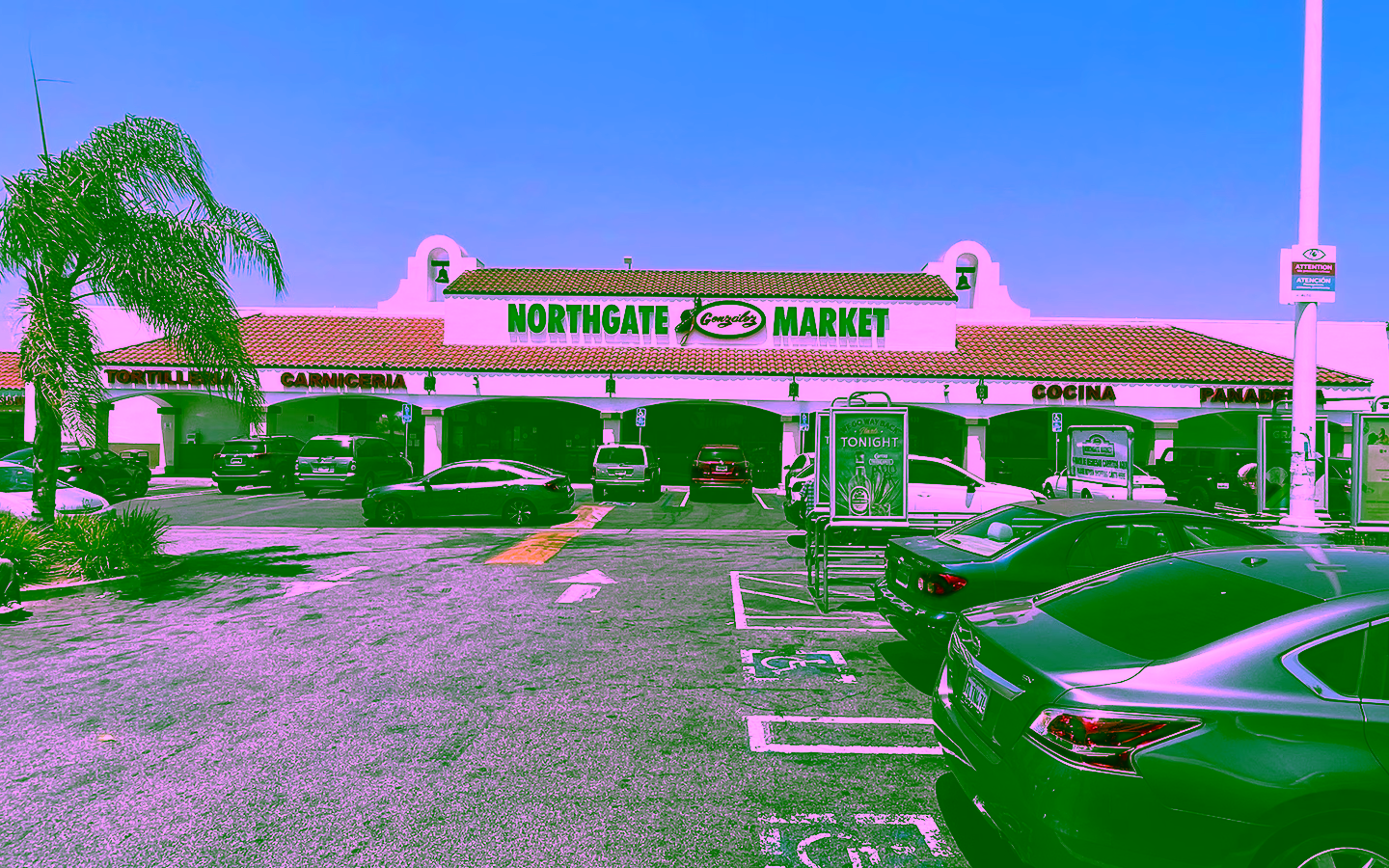 LONGPALM-Northgate-5-2022