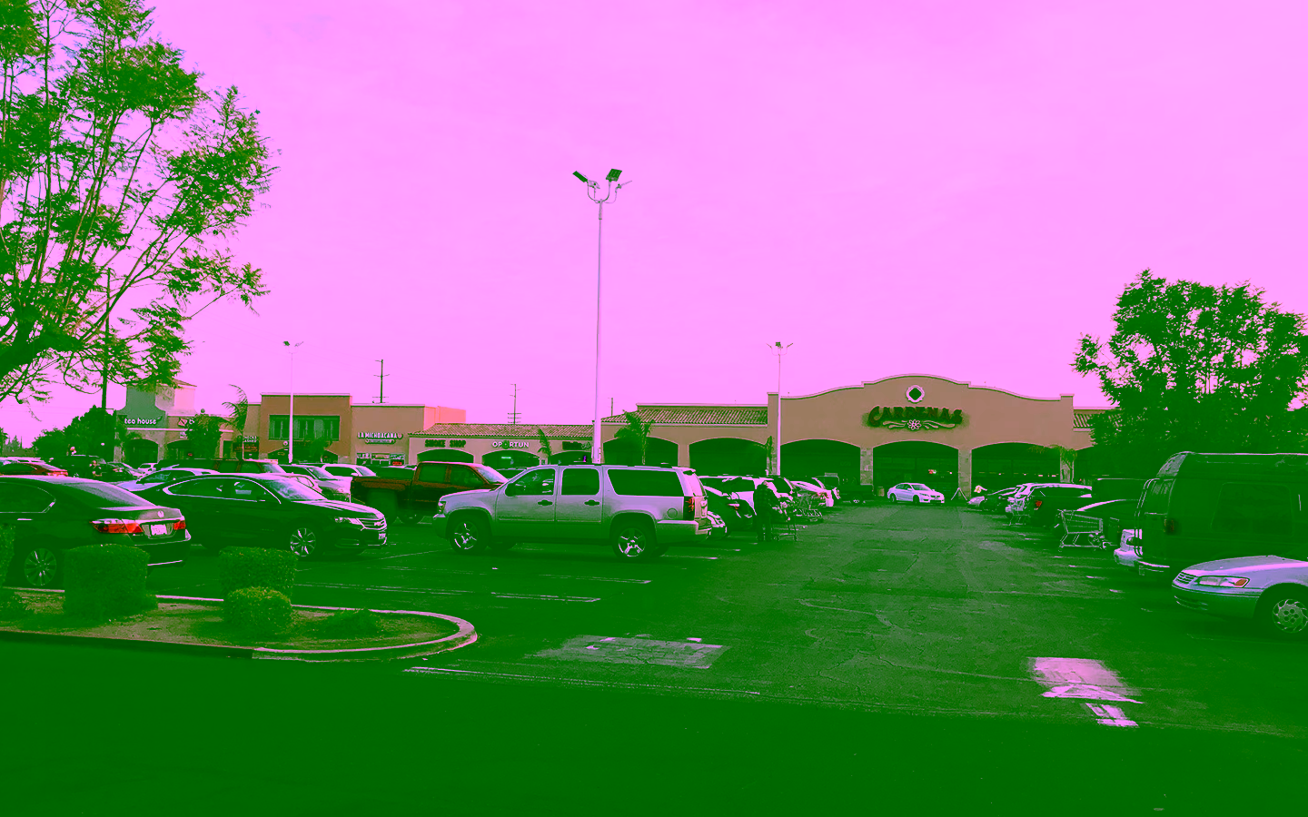 MTVOLI-Cardenas-2019