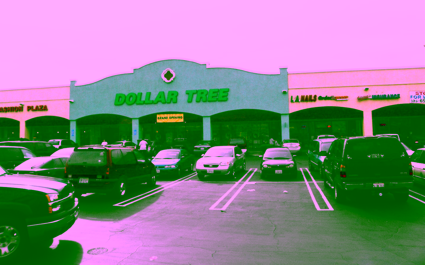 MTVOLI-DollarTree-2010-adjust-light