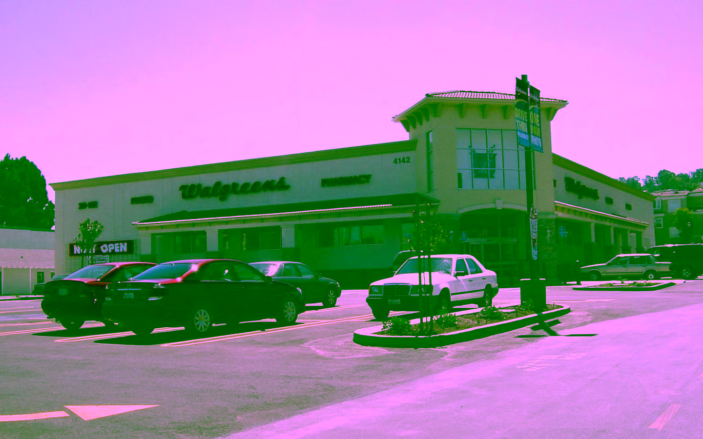 PCHANZ-Walgreens-2009